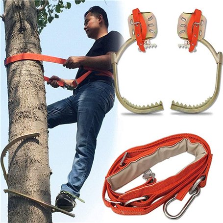 Grimper Arbre Artefact