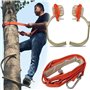 Grimper Arbre Artefact