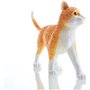 kit de modèle de squelette de chat orange