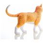 Modèle d'anatomie de chat 4D Vision, kit de modèle de squelette de chat orange, 28 organes et parties du corps détachables, form