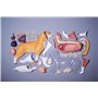 Modèle d'anatomie de chat 4D Vision, kit de modèle de squelette de chat orange, 28 organes et parties du corps détachables, form