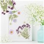 SUPRROW Fleur Sechees Naturel pour Résine pour Bricolage Résine Bijoux Faisant Floraux