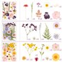 Vraies Fleurs Pressées Séchées 66 Pièces,SUPRROW Fleur Sechees Naturel pour Résine pour Bricolage Résine Bijoux Faisant Floraux 