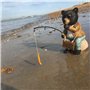 Collection bassin. Bernie Bear