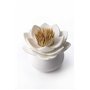 QUALY Porte Cure-Dents Distributeur Lotus. en Blanc. env. 7