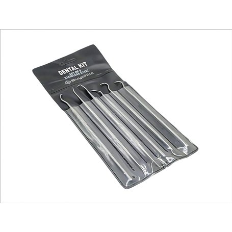 Buyohlic Kit d'outils dentaires – Grattoir tartre en acier inoxydable