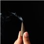 Jembrana Incense - Cônes d'encens Jembrana - Mélangez 6 parfums (60 cônes au Total), 10 cônes chacun de Lotus Bois de Santal, ga