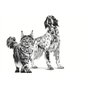 Royal Canin Veterinary Recovery | 12 x 195 g | Aliment Complet diététique pour Chiens et Chats Adultes | Mousse Ultra Douce à Ha