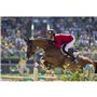 Reitsport Amesbichler Compositi Étriers en plastique flexible avec large surface d'appui Noir/rouge