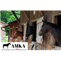 AMKA Lot d'étriers et de sangles