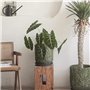 Huangj-0527 Pot de Fleur Pot de Fleur Rond Vert de Grand Calibre, jardinière en béton avec Motif de Cactus, conteneur de Plantes