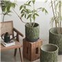 Huangj-0527 Pot de Fleur Pot de Fleur Rond Vert de Grand Calibre, jardinière en béton avec Motif de Cactus, conteneur de Plantes