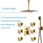 Rain Rain Rain Bower Down Set Set Plafond Plafond monté Fauce de douche de salle de bain Ensemble avec pomme de douche, douche à