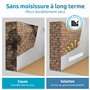 Déshumidificateur maison moule - Anti-moisissure pour mur intérieur - Alternative efficace au spray (Module de base)