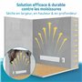 Déshumidificateur maison moule - Anti-moisissure pour mur intérieur - Alternative efficace au spray (Module de base)