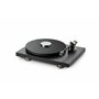 Pro-Ject Record Puck Pro Poids de Disque Vinyle Moderne avec Finition Nickel Amélioration du Son pour Toutes Les platines