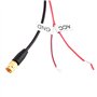 Antenne numérique de voiture, amplificateur d'antenne universel de TV numérique de voiture antenne FM DVB-T avec connecteur de p