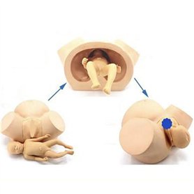 UGLYAF Simulateur de Formation de Sage-Femme