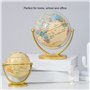 Globe terrestre, globe éducatif Impression transparente Couleurs vives pour les lieux éducatifs pour les écoles pour la décorati