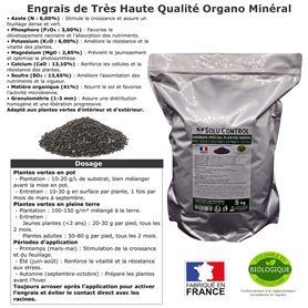 Pour Fêtes