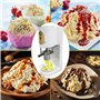 Sorbetière professionnelle pour la maison, 80 W, machine à glace dure spaghetti, avec 4 moules, facile à utiliser, pour glaciers
