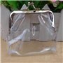 Wudaizhi Petit Sac de Rangement Transparent à Pince en Fer - Porte-Monnaie Multifonction pour Petits Objets et Rouge à lèvres - 