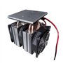 TUITA Module De Conditionneur De Kit Froid Thermoélectrique Peltier 12V 240W avec Ventilateur for Banc D'essai, Mini-réfrigérate