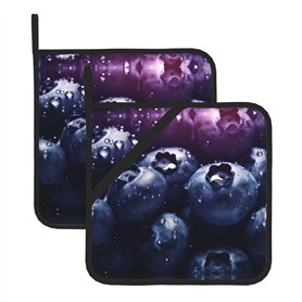 Big Blueberry Kitchen Everyday Lot de 2 maniques résistantes à la chaleur 20