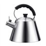 Thé Kettle Stoveetop Whistling Gas Hob Grand en acier inoxydable sifflement avec poignée pliante 3 litres poêle à gaz à inductio
