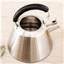 Thé Kettle Stoveetop Whistling Gas Hob Grand en acier inoxydable sifflement avec poignée pliante 3 litres poêle à gaz à inductio