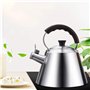 Thé Kettle Stoveetop Whistling Gas Hob Grand en acier inoxydable sifflement avec poignée pliante 3 litres poêle à gaz à inductio