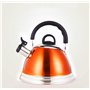 Thé Kettle Stoveetop sifflement en acier inoxydable bouilloire chauffage automatique chauffant rapidement avec une poignée anti-