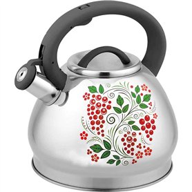 Tahe Bettle Stoveetop Whistling Stove Top Top Whistling Kettle en acier inoxydable avec poignée isolée Bouton pratique pour la c