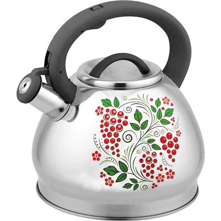 Tahe Bettle Stoveetop Whistling Stove Top Top Whistling Kettle en acier inoxydable avec poignée isolée Bouton pratique pour la c