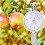 Jeanoko Testeur de dureté de Fruit de scléromètre de pénétromètre de fermeté de Fruit de GY-03 pour déterminer Le Niveau de matu