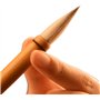 pinceau d'écriture