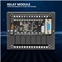 Module de Relais FX1N-20MR, Carte de Commande Industrielle PLC 10-28VDC Module de Retard de Relais de Circuit de synchronisation