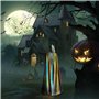Zhuanyun Cape à capuche avec planches verticales en bois de chêne imprimé pour carnavals, cosplay, déguisements, bal masqué, fêt