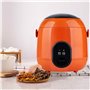 QDCFY Mini Cuiseurs à Riz électrique Rice Cooker Slow Cooker avec Insert pour Cuiseur à Vapeur
