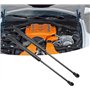 2 Pièces Verin Hydraulique de Capot pour Audi A8 4D2 4D8 Saloon/Sedan 1994-2002, Vérins à Gaz pour Capot Amortisseurs Capot Mote