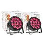 Ibiza light - Pack 2 Projecteurs Par THINPAR-14x6W-RGBW DMX Télécommande LED Extra-plats Soirée Dj Fête Bar Club Discothèque Amb