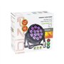 Ibiza light - Pack 2 Projecteurs Par THINPAR-14x6W-RGBW DMX Télécommande LED Extra-plats Soirée Dj Fête Bar Club Discothèque Amb