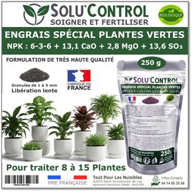 250 g Engrais Spécial Plantes Vertes 6-3-6 - Croissance