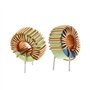 EJPPDHCO Inducteurs à Noyau toroïdal 10 A, enroulement magnétique, inductance 47 µH, 1 pièce