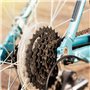 BHDD Protecteur de Rayon de vélo à 4 Griffes, Transparent, Protecteur de Rayon de vélo, Cassette réduisant Les sédiments sur Le 