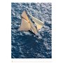 The Art of Sailing 2024