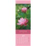 Jours pleins de bonheur Marque-page & calendrier 2025 : petit cadeau avec photos et dictons inspirants et sagesses de vie.Calend
