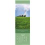 Jours pleins de bonheur Marque-page & calendrier 2025 : petit cadeau avec photos et dictons inspirants et sagesses de vie.Calend