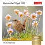 Calendrier 2025 - Calendrier hebdomadaire avec 53 cartes postales : calendrier hebdomadaire au format carte postale avec portrai