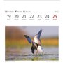 Calendrier 2025 - Calendrier hebdomadaire avec 53 cartes postales : calendrier hebdomadaire au format carte postale avec portrai